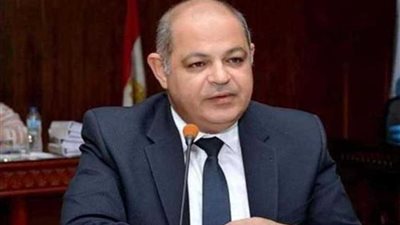 محافظ الغربية: التعديلات الدستورية بداية لبناء دولة حديثة