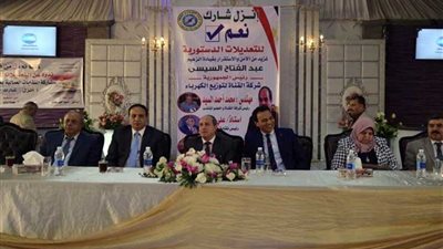 «مستقبل وطن» و«الكهرباء» ينظمان مؤتمرًا حاشدًا لدعم التعديلات الدستورية