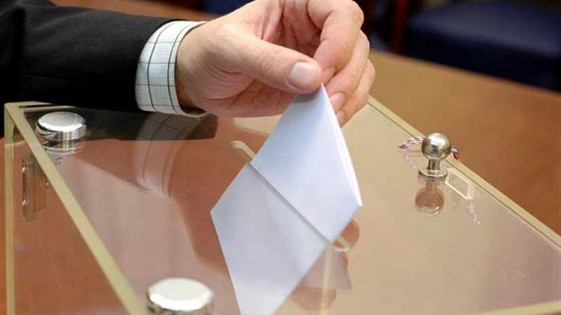 المصريون في النمسا