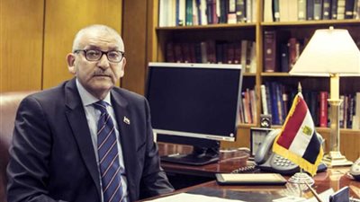 سفير مصر بواشنطن: المصريون بالخارج أعطوا رسالة قوية بمشاركتهم في الاستفتاء