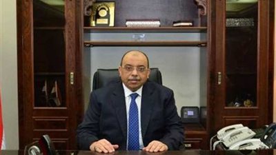 وزير التنمية المحلية يتابع سير الاستفتاء ويؤكد المشاركة الإيجابية للمواطنين