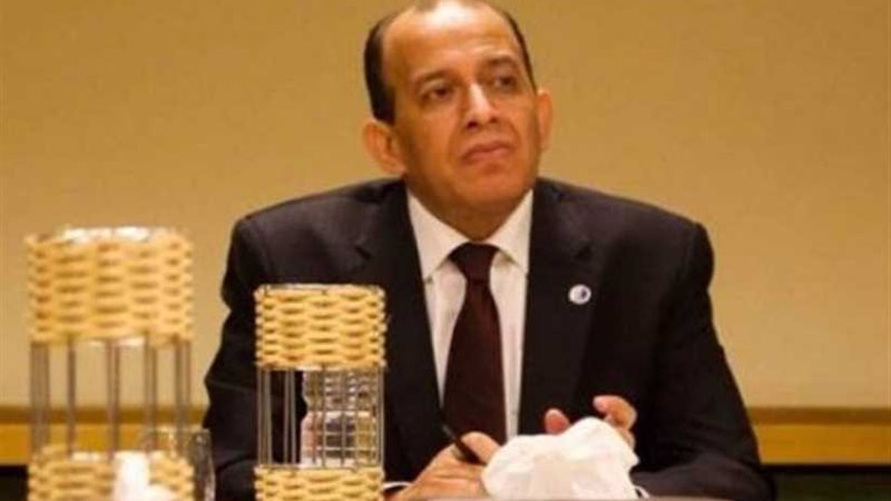 رئيس نادي قضاة مصر