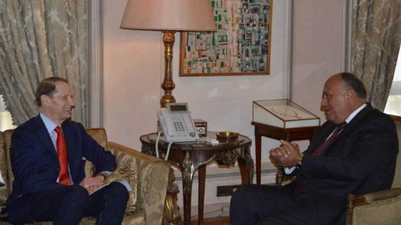 شكري يستقبل عضو لجنة