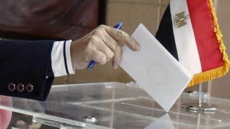 أعضاء منتخب مصر للسباحة