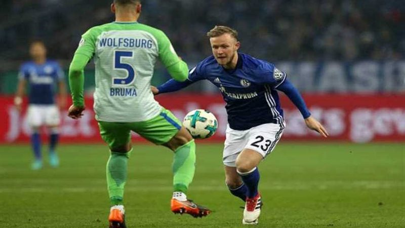 هوفنهايم يفوز علي