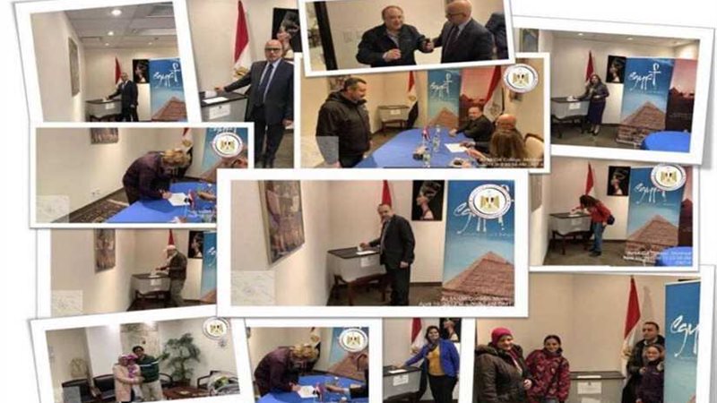 العلم والأطفال زينة