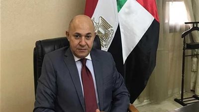 سفير مصر لدى الإمارات: الاقتراع على التعديلات الدستورية شهد إقبالا كبيرًا