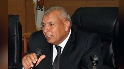 محافظ الوادي الجديد: إعادة التنسيق الحضاري لمدينة الخارجة بالتعاون مع جامعة حلوان