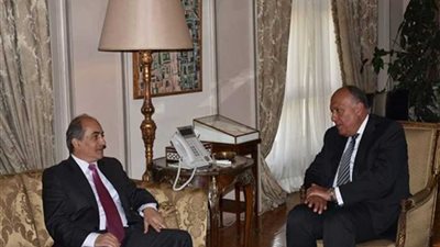 شكري يبحث مع رئيس مجلس النواب القبرصي سبل تعزيز علاقات التعاون المشترك