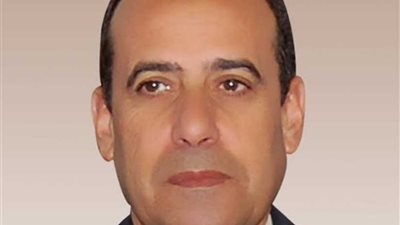 محافظ شمال سيناء: مكافأة لأهالي القرية الأكثر تصويتًا