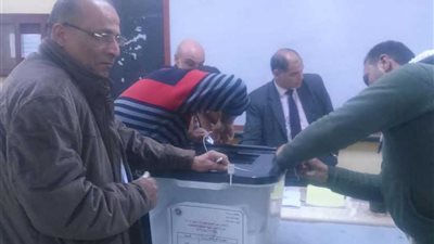 غلق لجان الاستفتاء على التعديلات الدستورية بالدقهلية بعد انتهاء التصويت