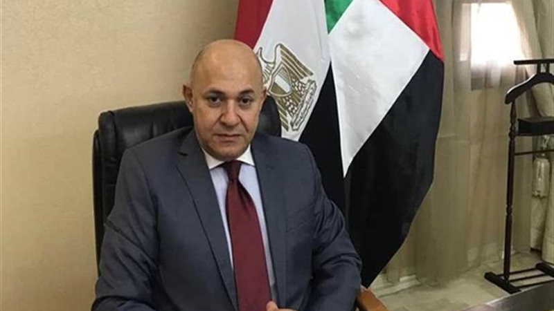 سفير مصر لدى الإمارات: