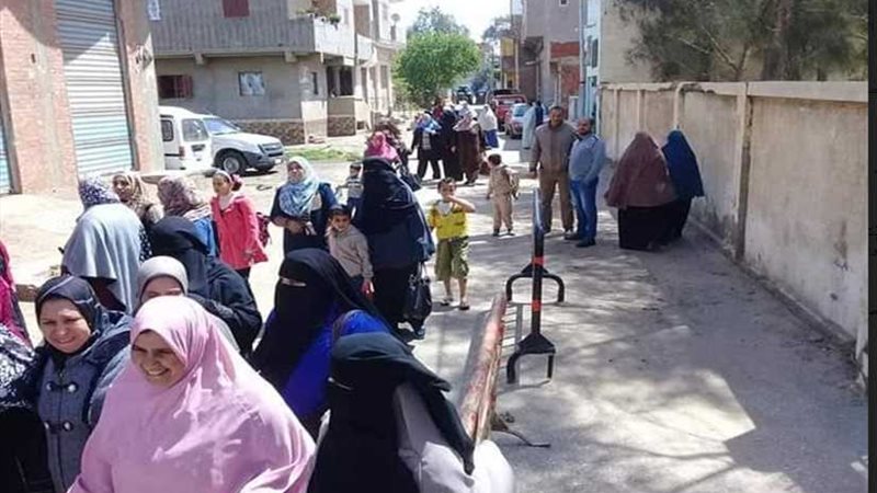 سيدات كفر الشيخ في