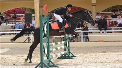 انطلاق نهائي بطولة الجمهورية للفروسية بالهرم