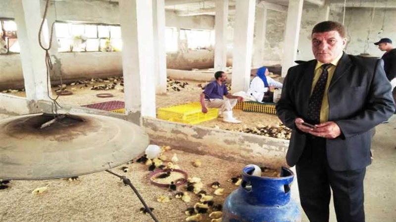 وكيل زراعة البحيرة