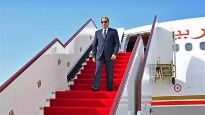 نشرة 24.. الرئيس