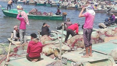 افتتاح موسم الصيد الجديد في بحيرة البردويل بشمال سيناء وسط فرحة الصيادين