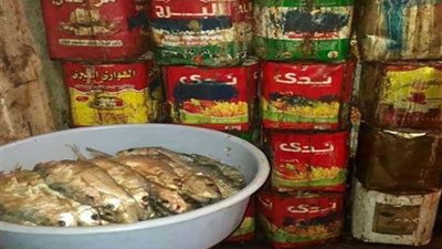 ضبط 126 طن فسيخ ورنجة غير صالحة خلال أسبوعين