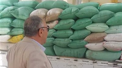 توريد 6236 طن قمح لصوامع الغربية حتى الآن