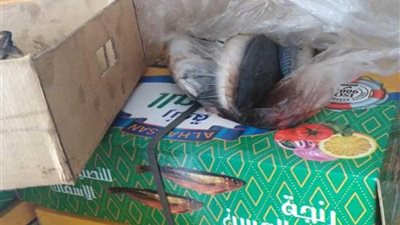 في حملة مكبرة.. 