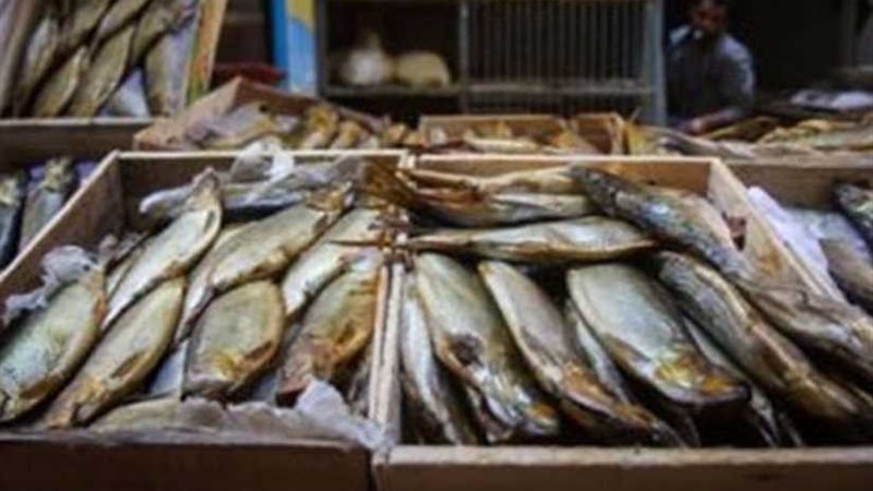 ضبط 500 كيلو فسيخ