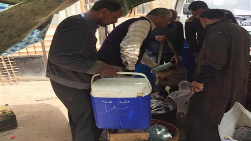 أسماك فاسدة ومحاضر