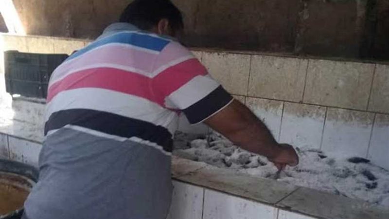 صحة الشرقية : إعدام