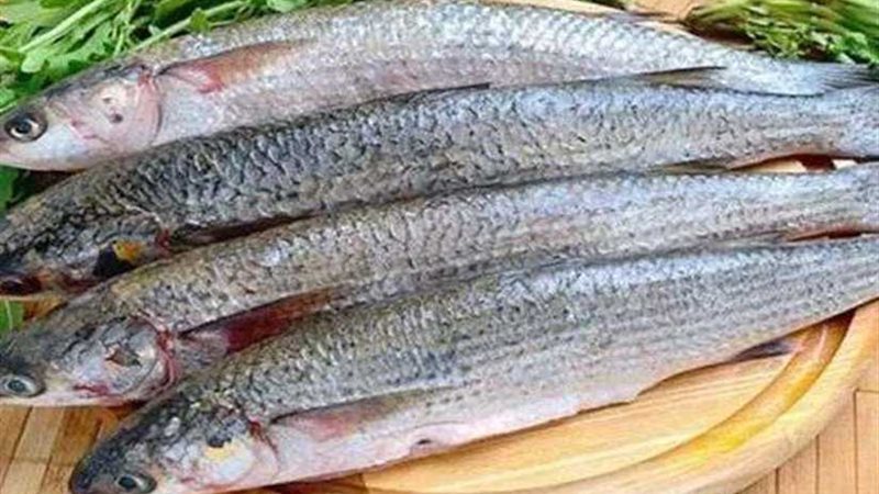 شلل وتسمم.. تعرف