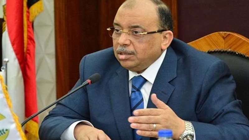 التنمية المحلية :