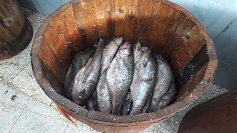 موميه يكشف لـبوابة