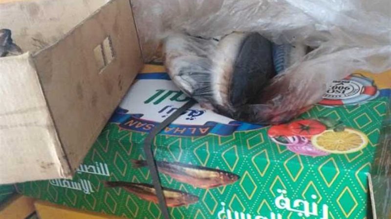 في حملة مكبرة.. الصحة: