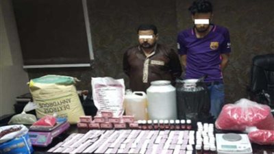 ضبط عنصرين إجراميين بـ