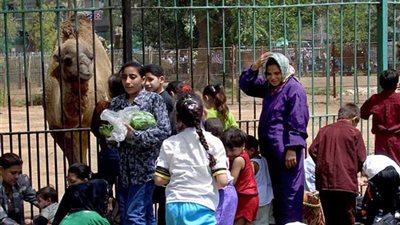 120 ألف مواطن استمتعوا بقضاء إجازة شم النسيم في حديقة الحيوان