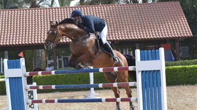 انطلاق نهائي بطولة الجمهورية للفروسية بالإسكندرية