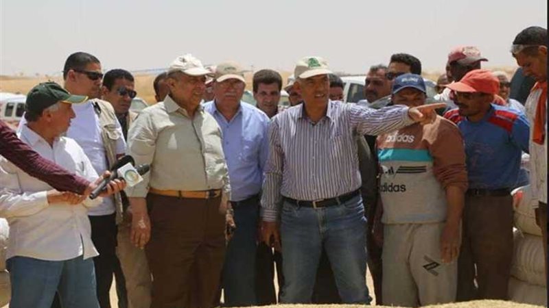 مصر تبدأ موسم حصاد