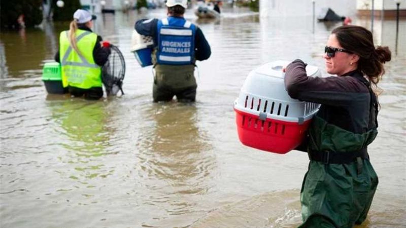 عملية إجلاء كبرى