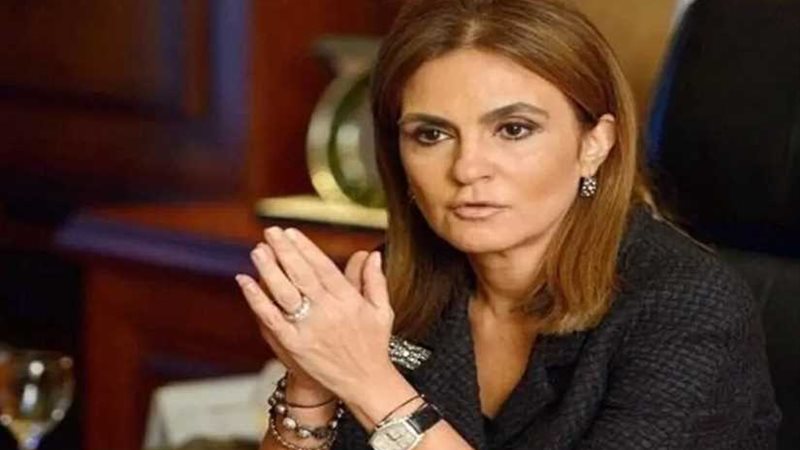 وزيرة الاستثمار: