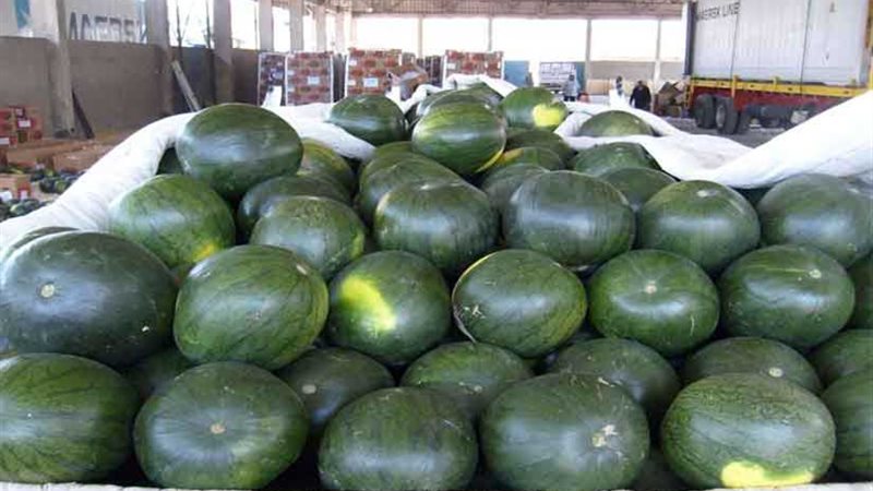 الحكومة تنفي ما تردد