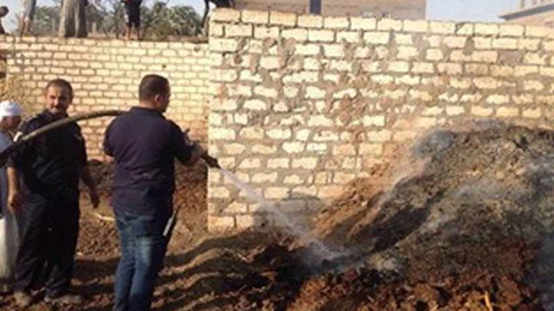 نفوق 23 رأس ماشية