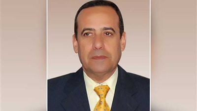 محافظة شمال سيناء:عدم منح الكيانات الصحفية الوهمية أية تسهيلات أو مزايا