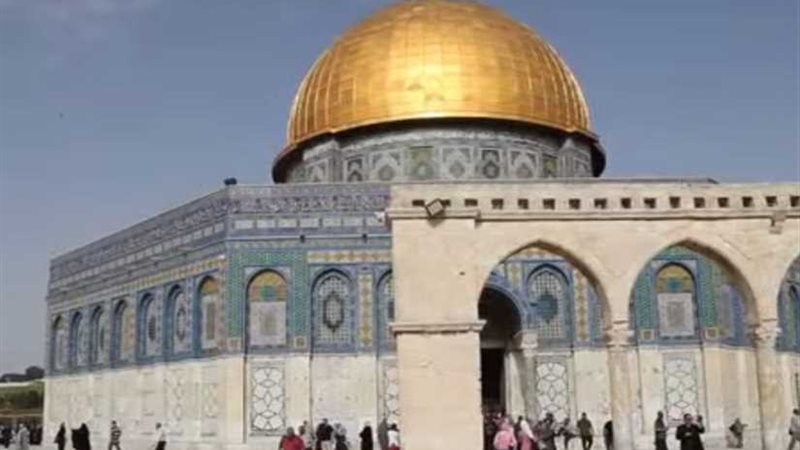 شاهد.. تحضيرات لاستقبال