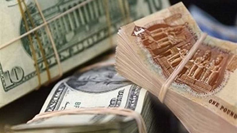 سكاى نيوز:الجنيه