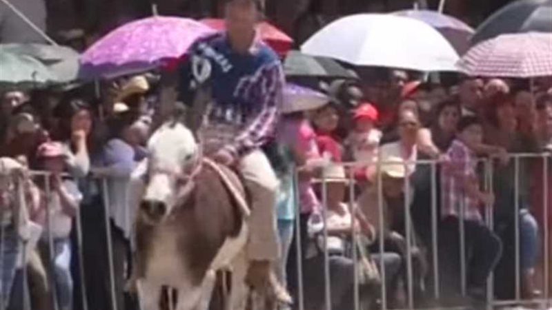 المكسيك تقيم مهرجان