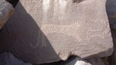 العثور على أوائل النقوش الملكية شمال شرق أسوان