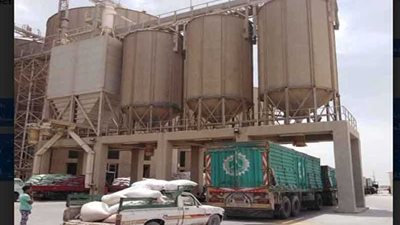 محافظ أسيوط: متابعة مستمرة لتوريد الأقماح بصوامع المحافظة