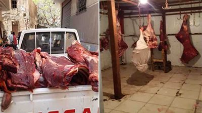 ضبط 770 كيلو لحوم غير صالحة بالجيزة.. صور