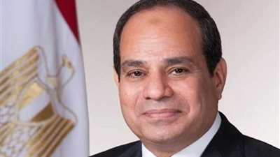 الرئيس السيسي يقوم بجولة تفقدية في منطقة النخيل بنهاية محور المشير