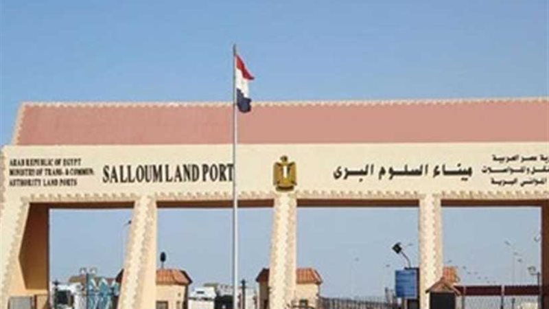 عودة 390 مصريا من