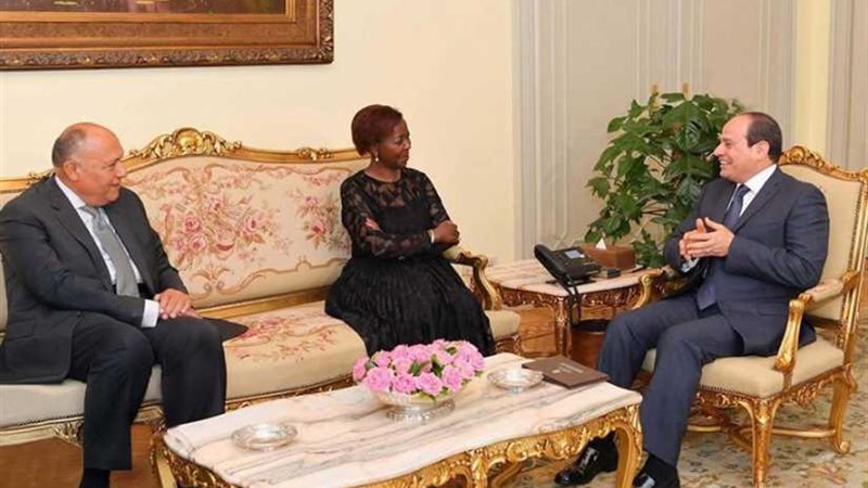 تفاصيل لقاء السيسى