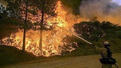 حرائق الغابات تلتهم 44 ألف هكتار من الأراضي في روسيا